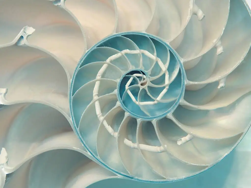 Inicio Blog Celestial geometria Sagrada