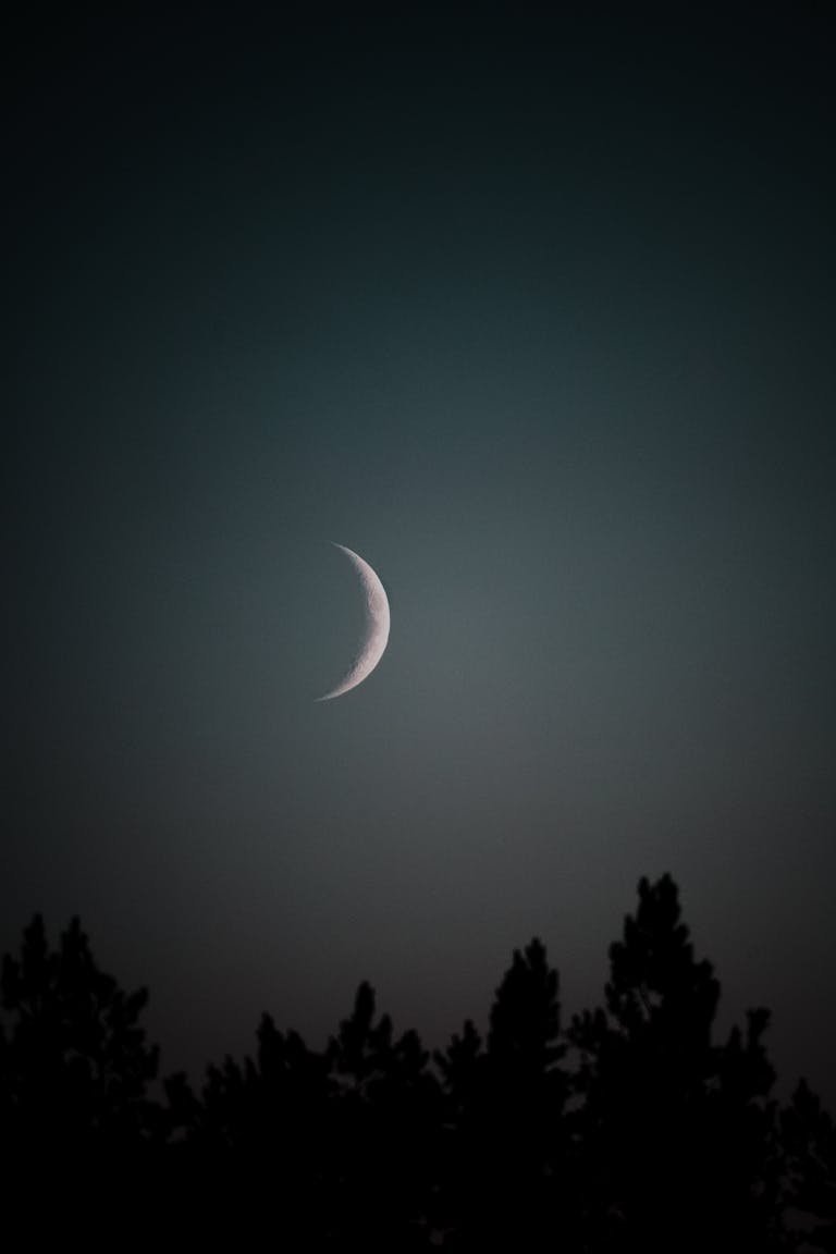 A stunning crescent moon amidst dark sky and silhouetted trees captures the essence of night.
